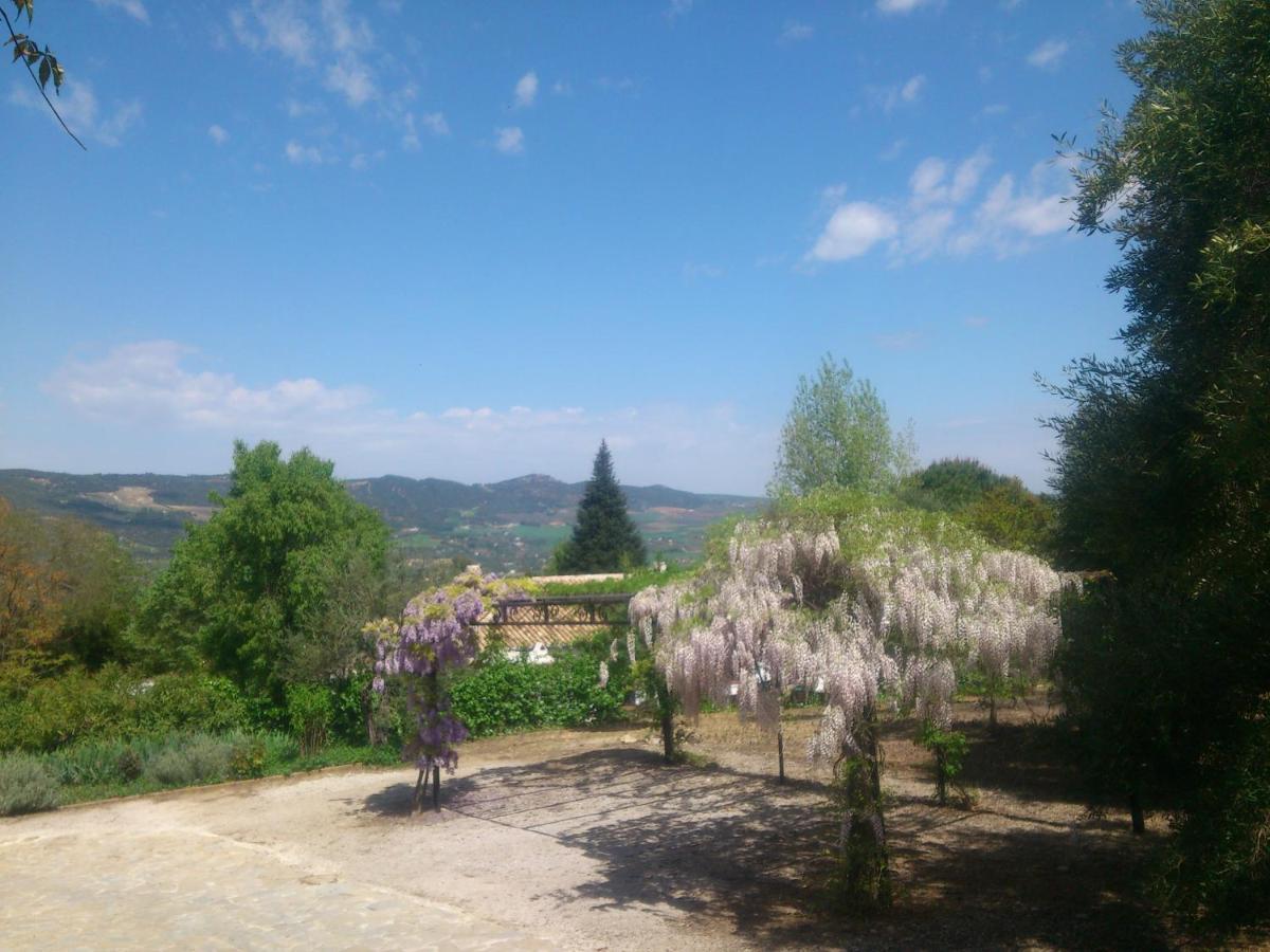 El Campito - Ronda