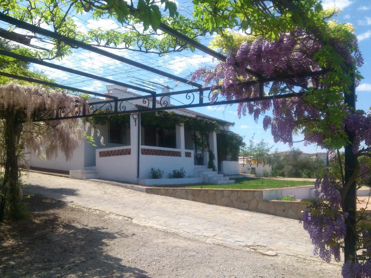 Vakantiehuis El Campito - *