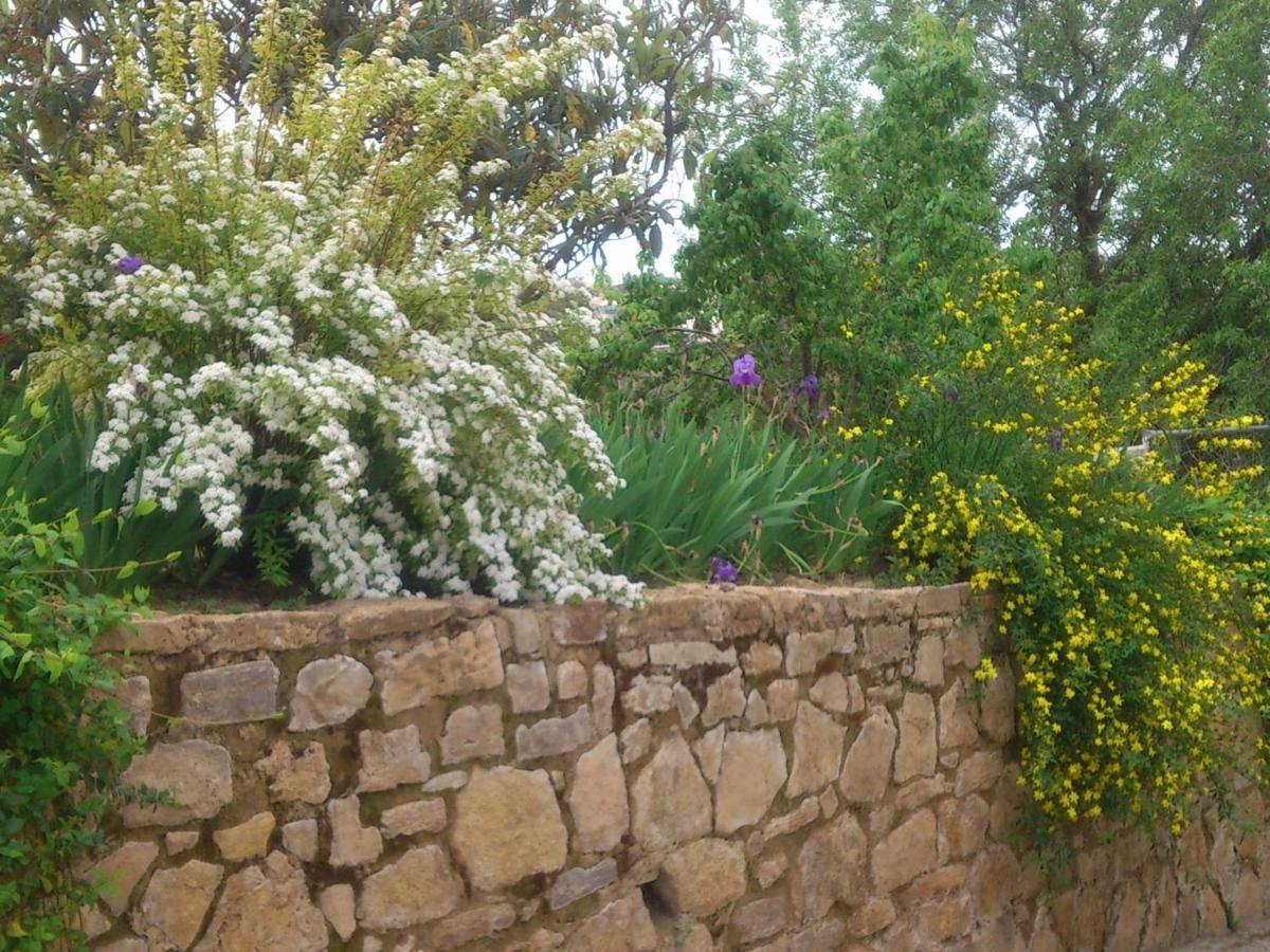 Holiday home El Campito - *