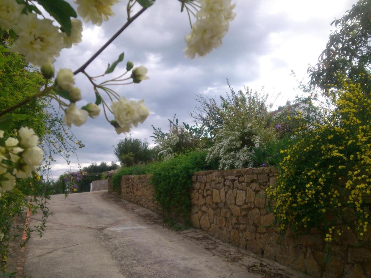 Holiday home El Campito -